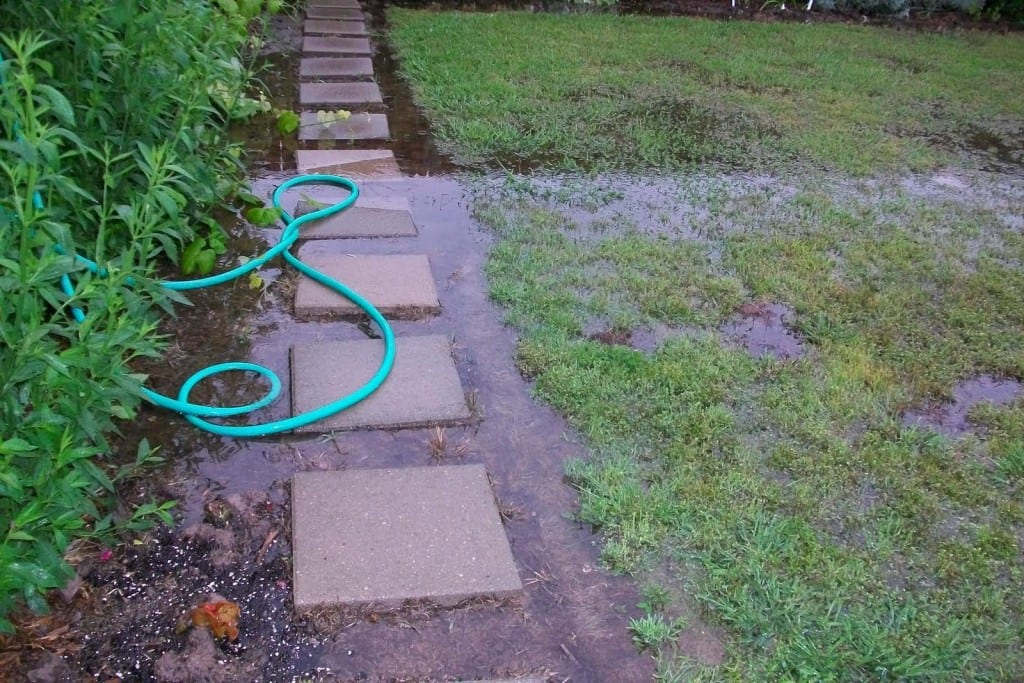 Flooded Yard2011