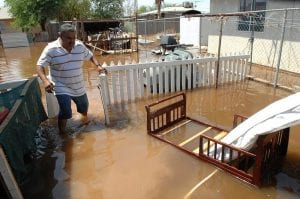 Yard Drainage is important.