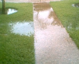 Yard Drainage