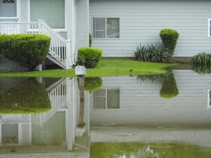 Yard Drainage